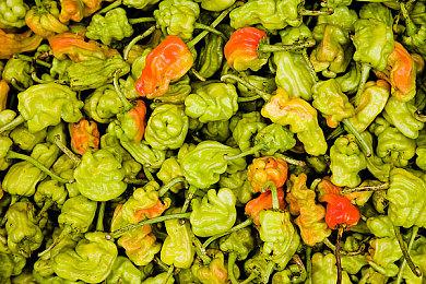 《龙腾世纪》编剧认为AI生成故事平淡无奇 没有灵魂